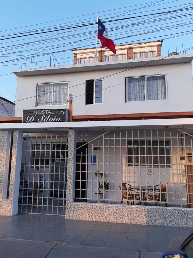 Hostal D' Silvia 阿里卡 外观 照片