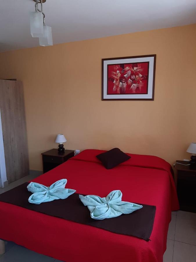 Hostal D' Silvia 阿里卡 外观 照片